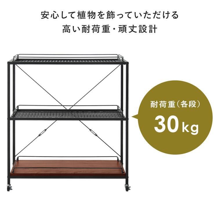 収納棚 植物ラック