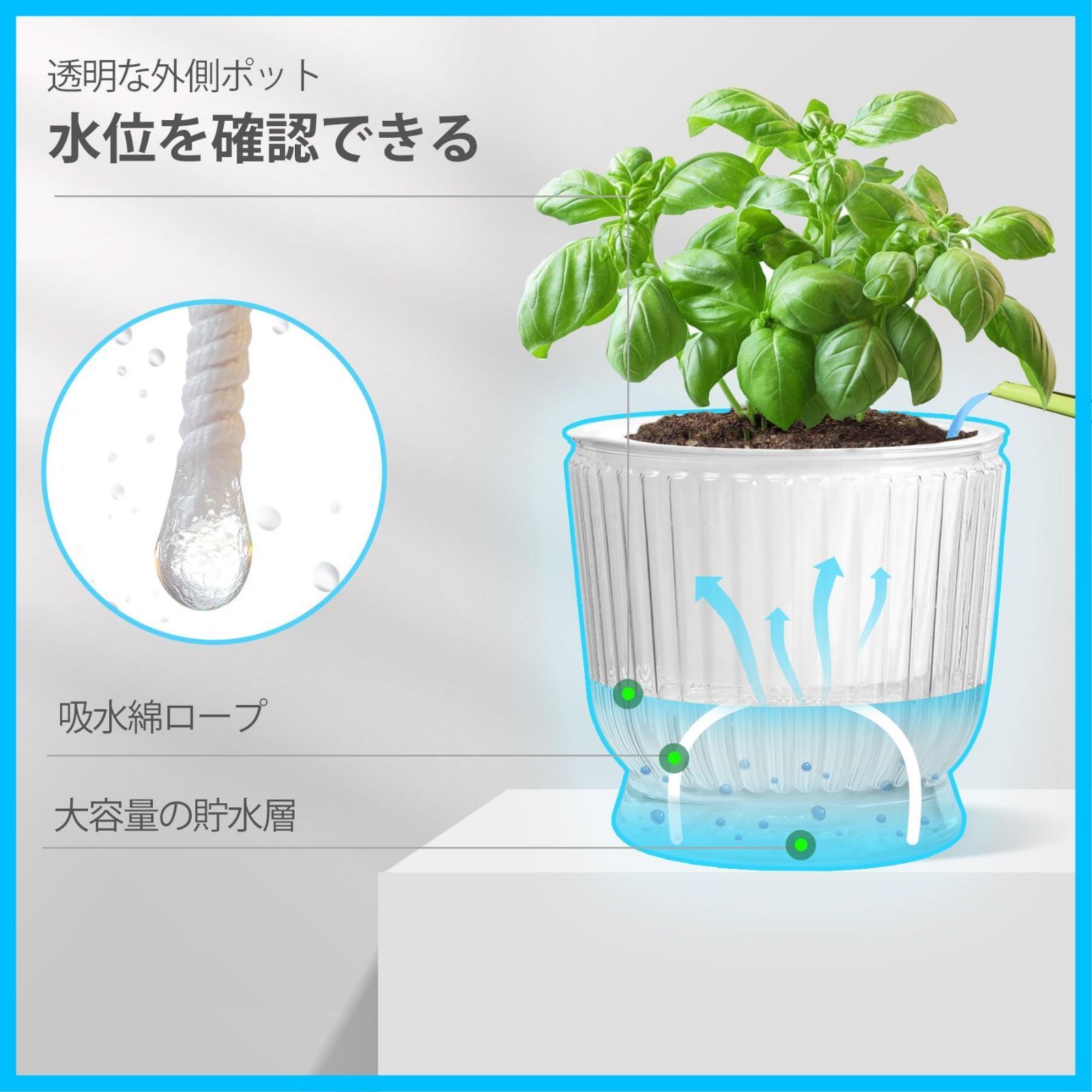 給水紐付き 鉢