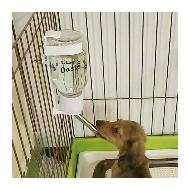 犬用品 キンペックス 犬