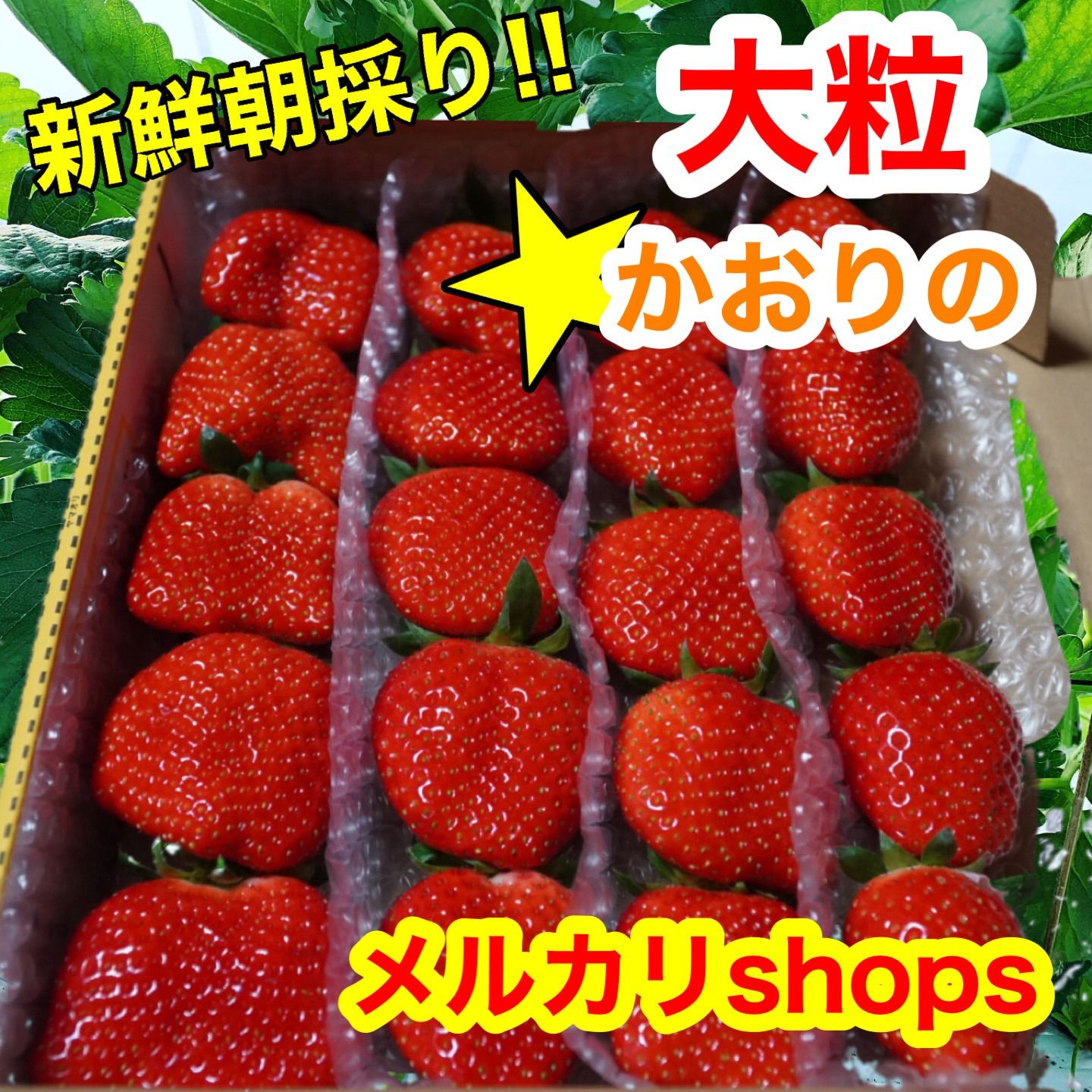 超高品質 ☆新鮮朝採り☆甘い！小粒いちご - 食品