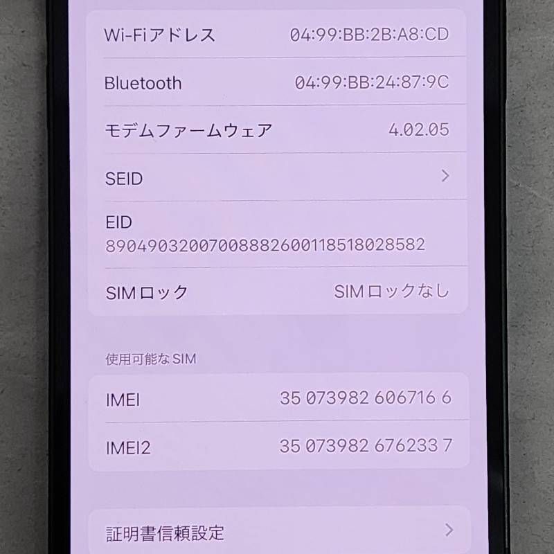 iPhone 13