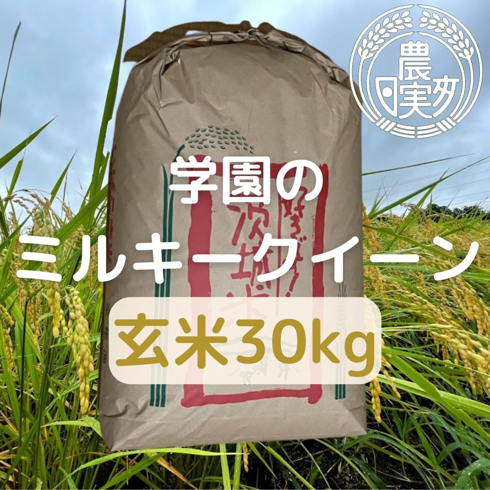 農業学校の【ミルキークイーン】玄米30kg 【令和5年産新米】お米30キロ