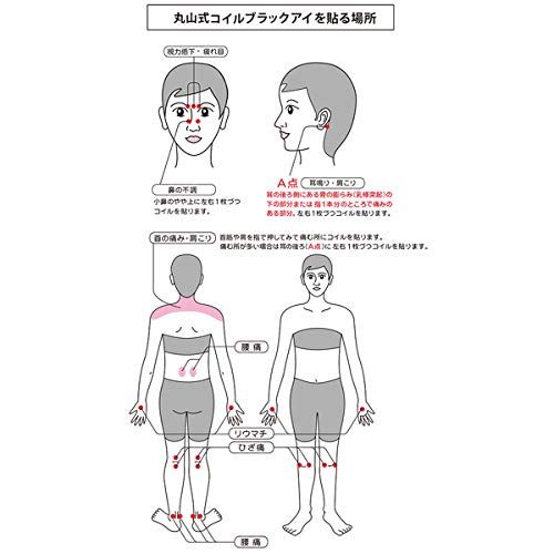 医学博士丸山修寛監修