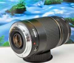 貴重な一瞬を望遠で！Canon Zoom LENS EF75-300mm F4-5.6 USM イベントに大活躍 ！キヤノン 望遠レンズ Zoom LENS 交換レンズ 一眼カメラ EOS Kiss レンズフード