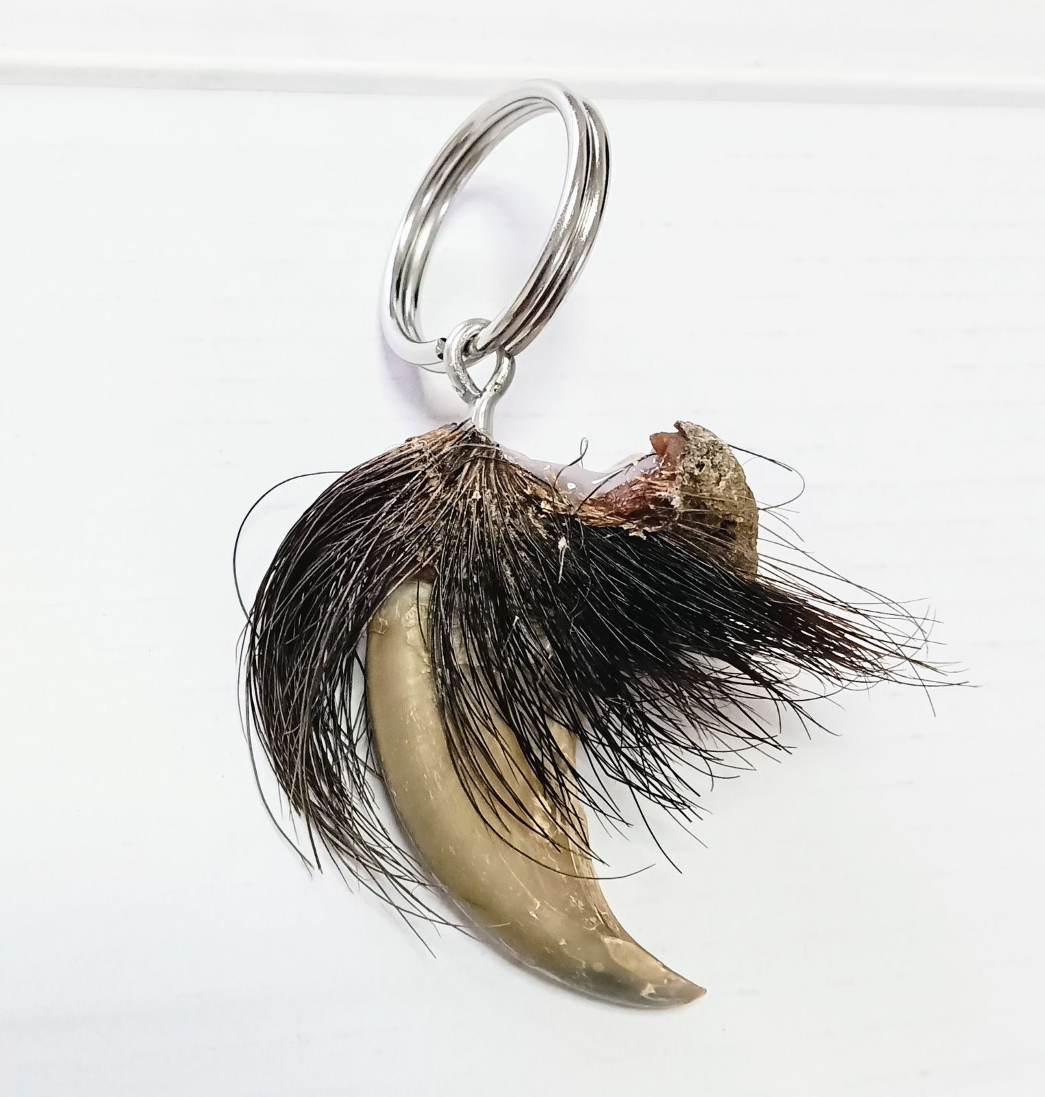 熊の爪キーホルダー ツキノワグマ ハンドメイド 魔除けアイテム - メルカリ
