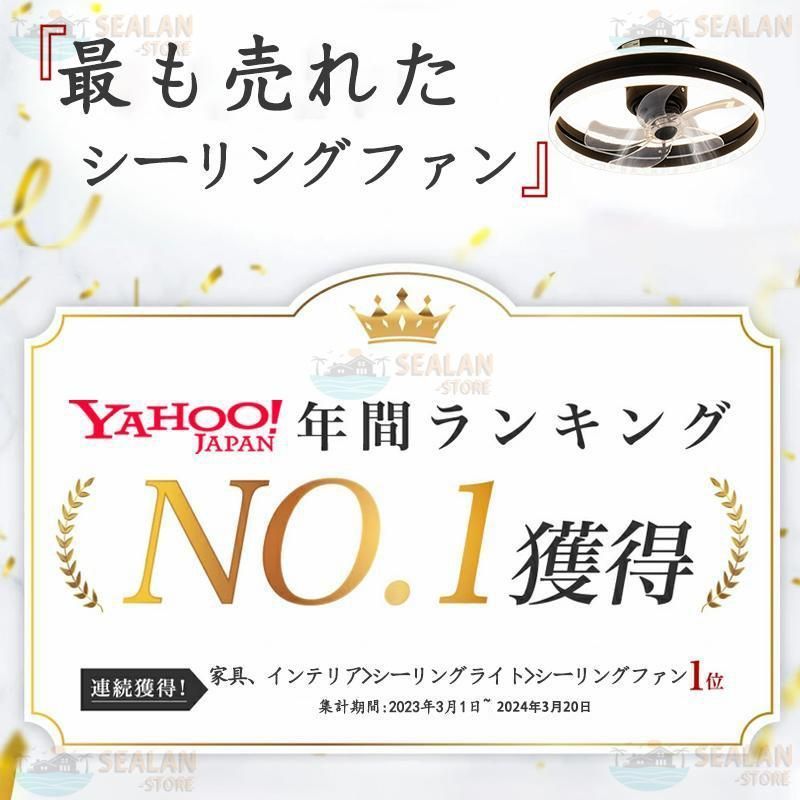 12畳 ファン付き照明