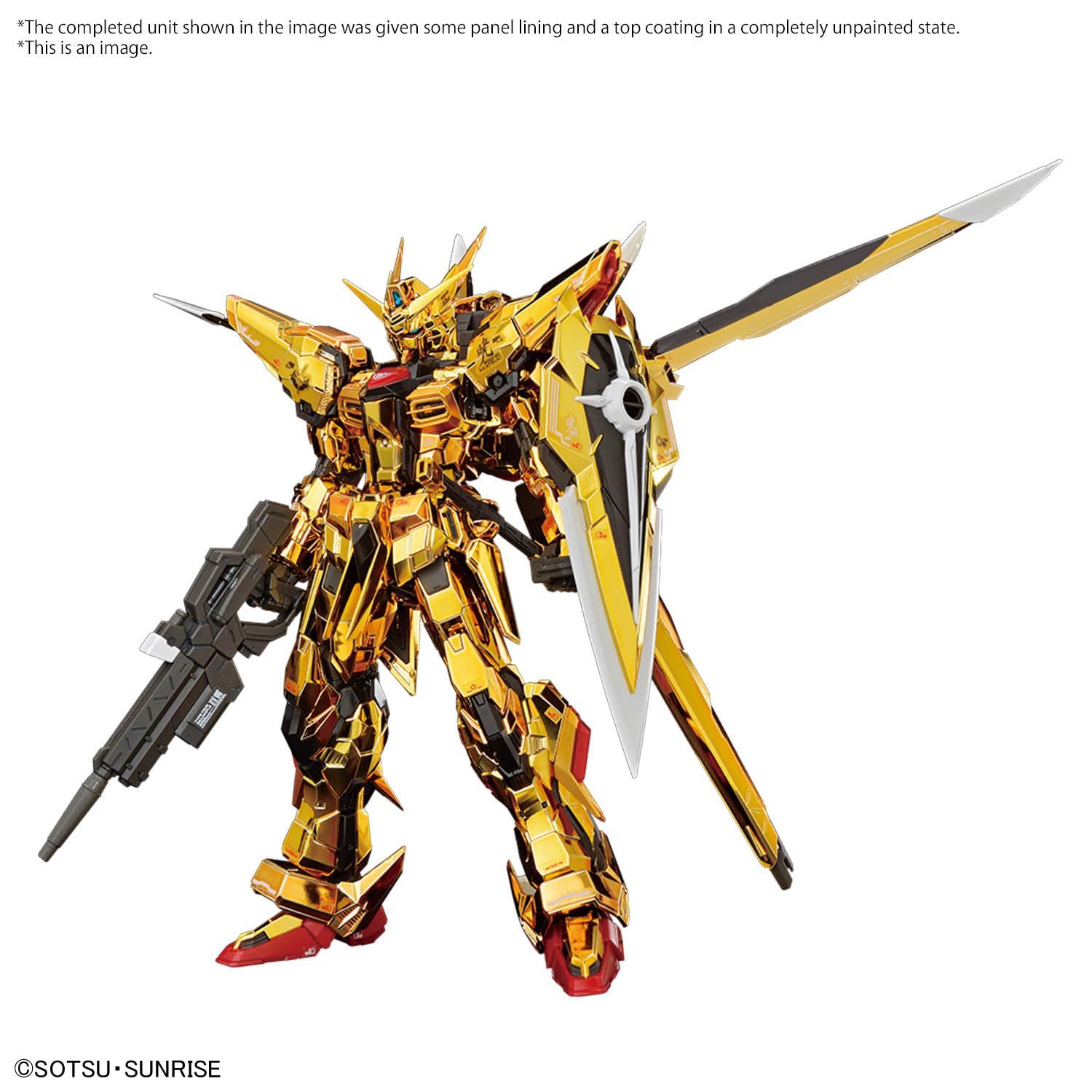 BANDAI SPIRITS(バンダイスピリッツ) RG 機動戦士ガンダムSEED DESTINY