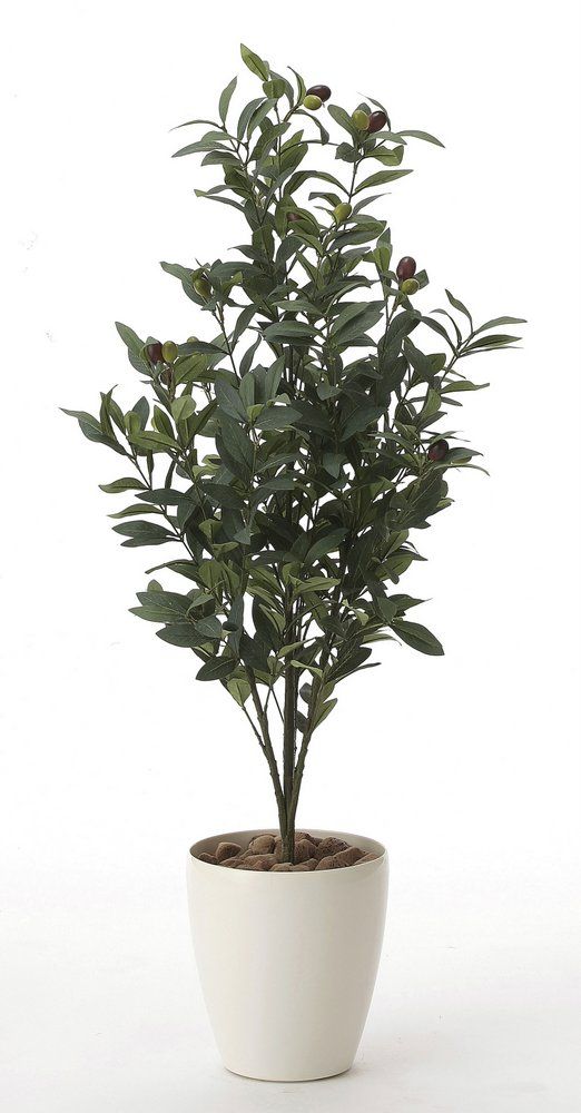 光触媒観葉植物 オリーブ1.3〔フロアタイプ(ハイサイズ)〕/光触媒 観葉植物 ウンベラータ フェイクグリーン 花 胡蝶蘭 開店祝い 開業祝い 誕生祝い 造花 アートフレーム おしゃれ 飾る 5Lサイ