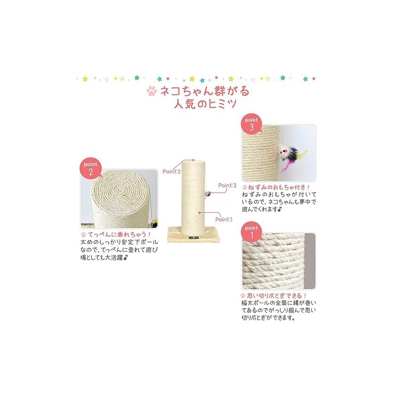 直径約20cm