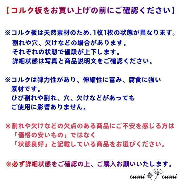 チランジア