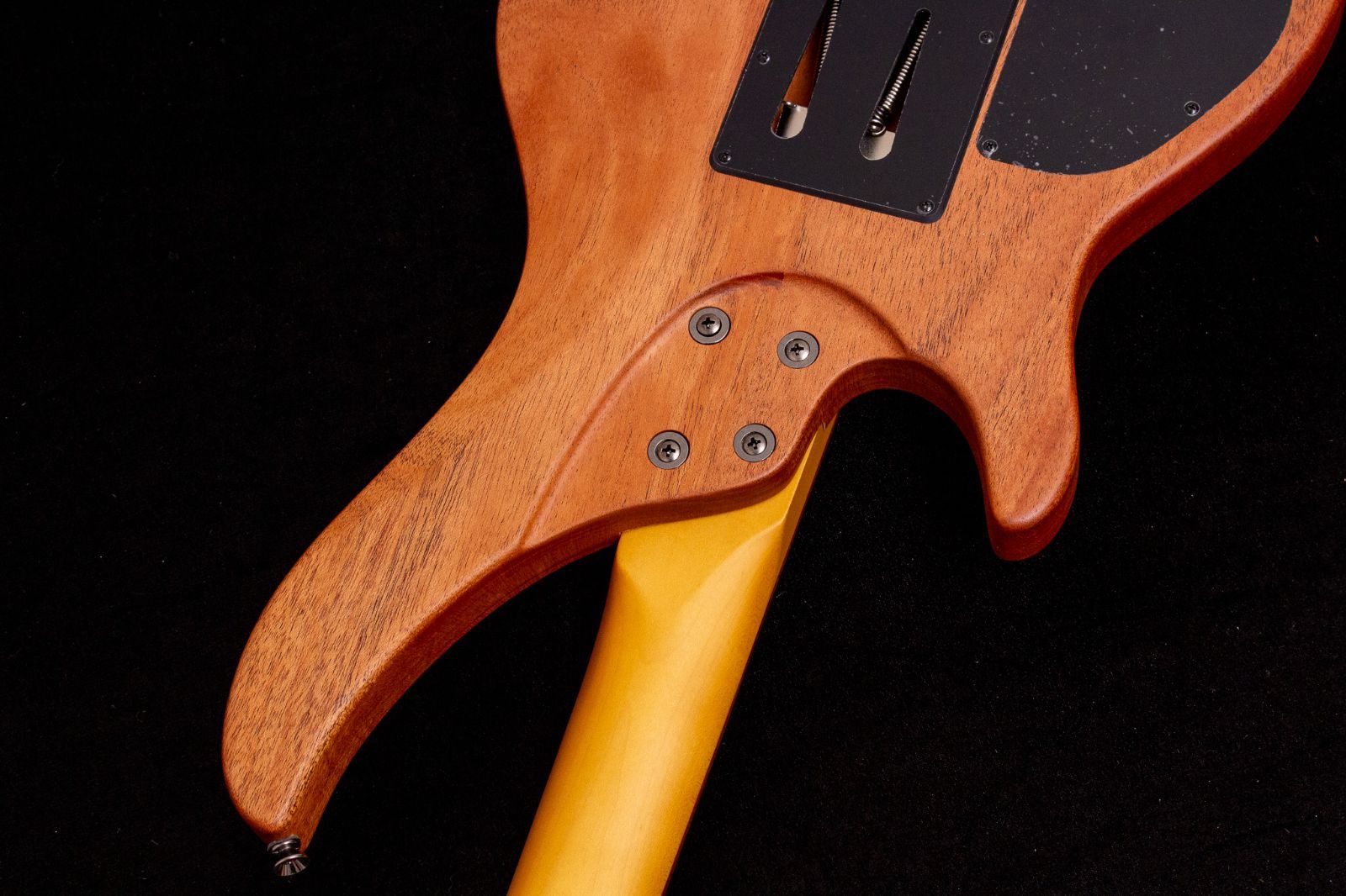 Seed by Sago 桜村眞モデル Kirin Seed Kirin (English Blog) | Sago New Material Guitars
