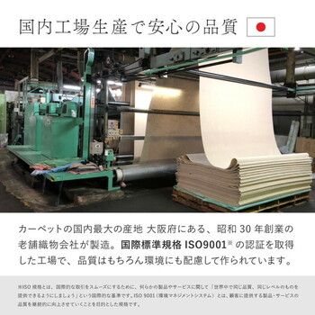 ラグ オーガニックコットンラグ 約130×185cm 洗える 抗菌 防臭 3サイズ MARWIL-DEMENAGEMENTS_CH