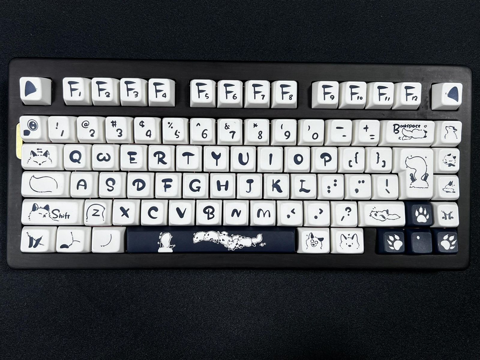 狐