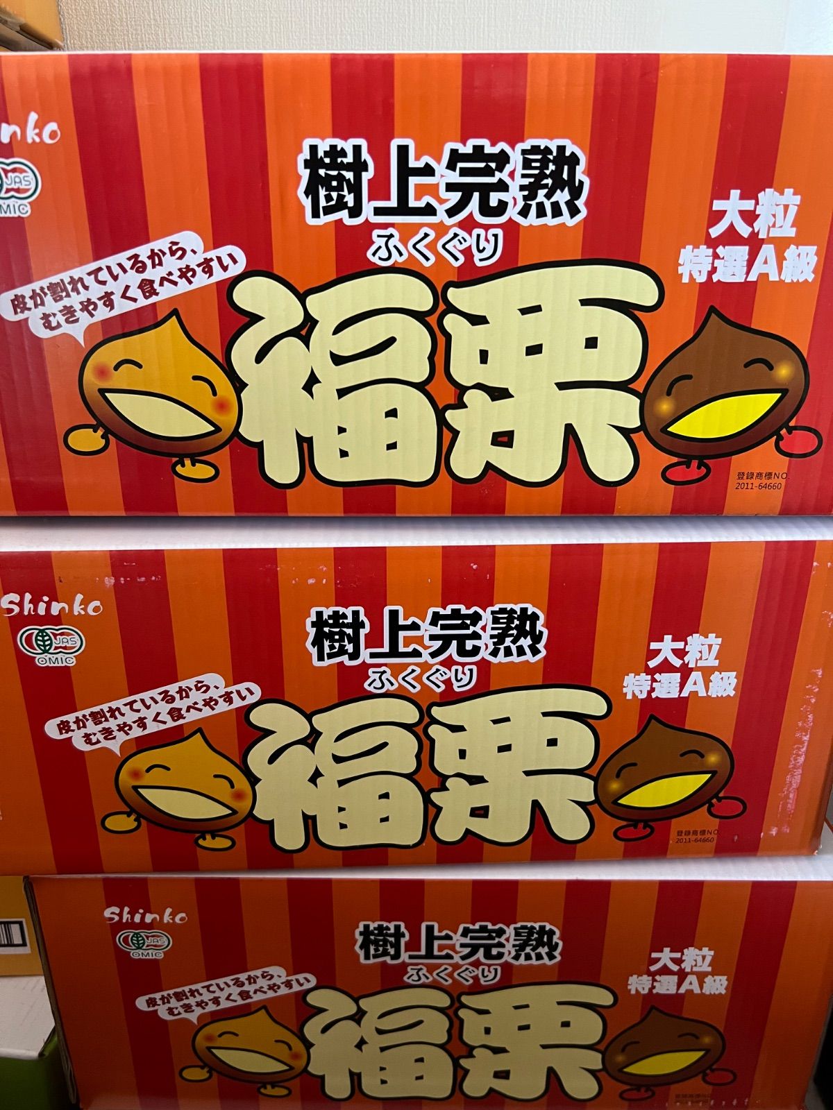 のサムネイル