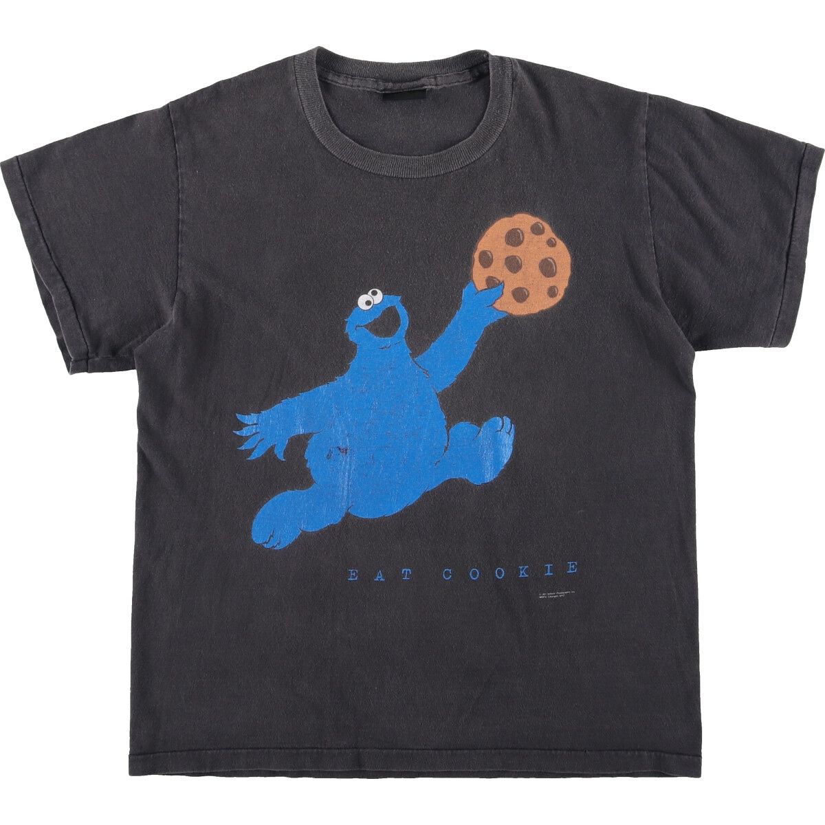 古着 90年代 Changes COOKY MONSTER クッキーモンスター NIKE