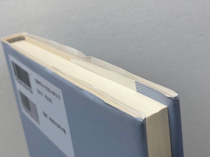 ゾルガーの哲学