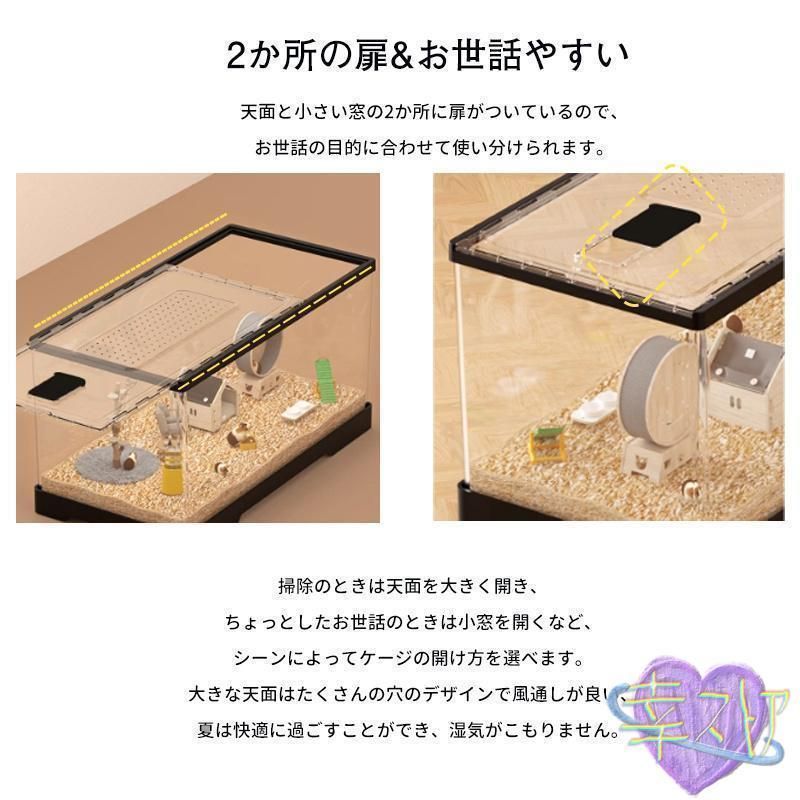ハリネズミ