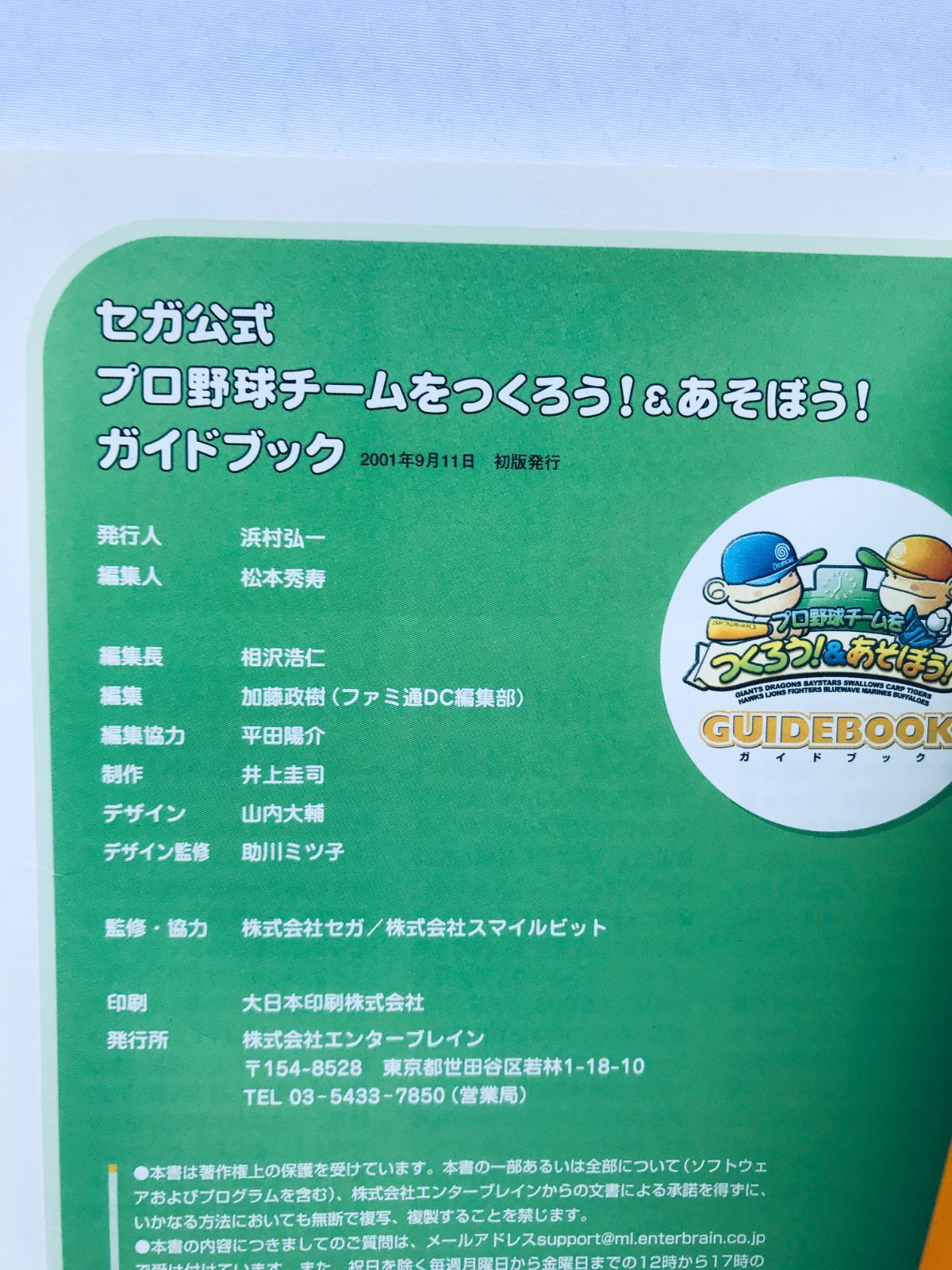 プロ野球チームをつくろう! ＆ あそぼう! ガイドブック DC 攻略本 初版 