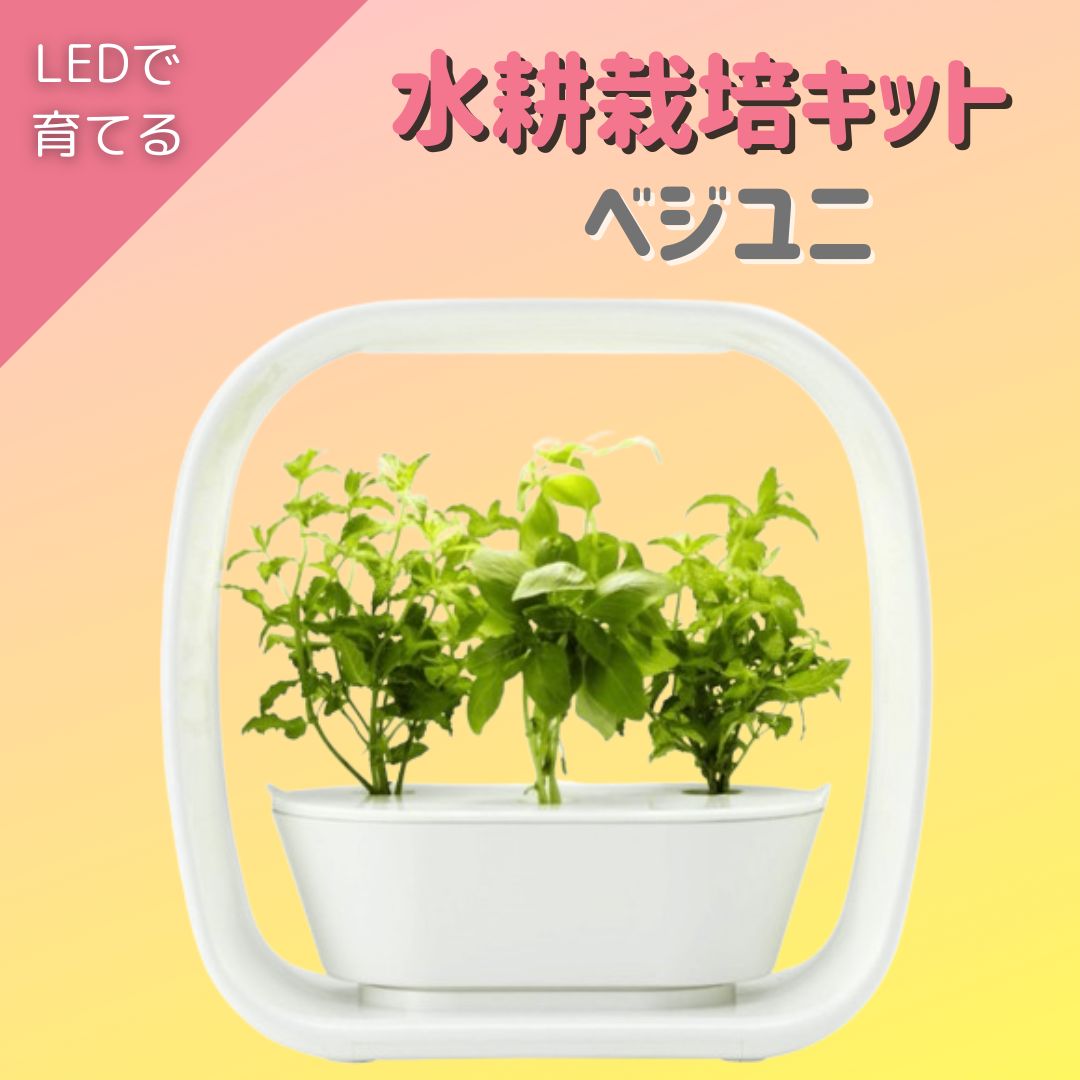 水耕栽培キット ベジユニ - メルカリ 水耕栽培キット ベジユニ - メルカリ