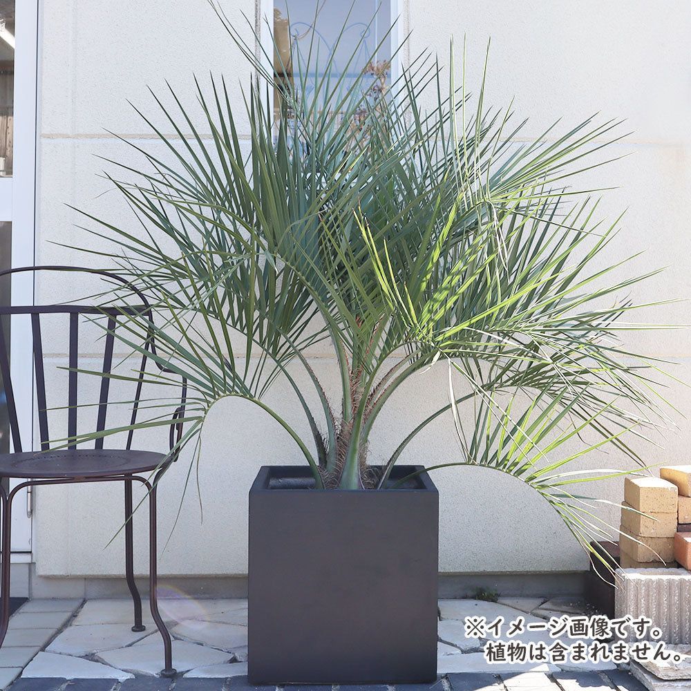 アンティーク調 39㎝ ファイバークレイ鉢 1200円値下げ アンティーク調