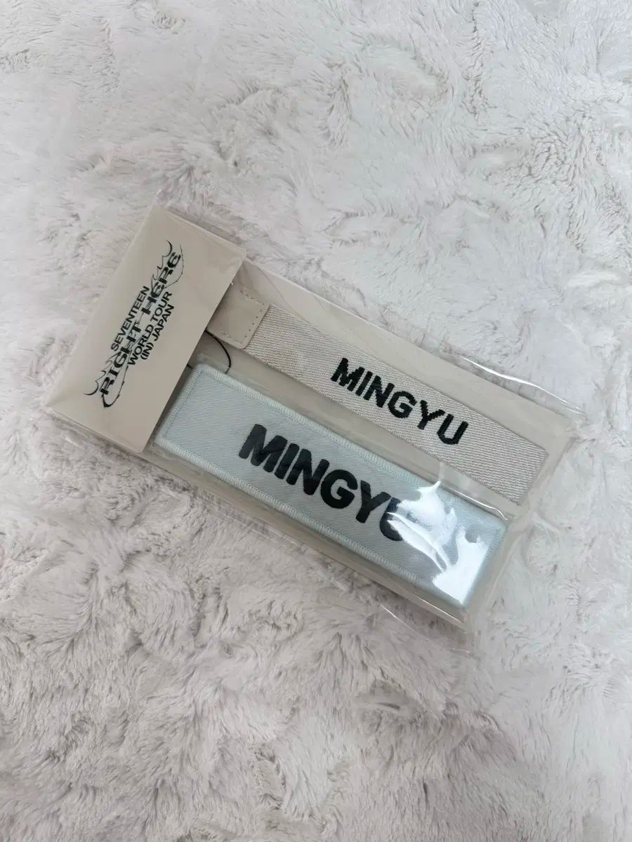 SEVENTEEN(セブンティーン・セブチ) ミンギュ(MINGYU) まさにここ 日本