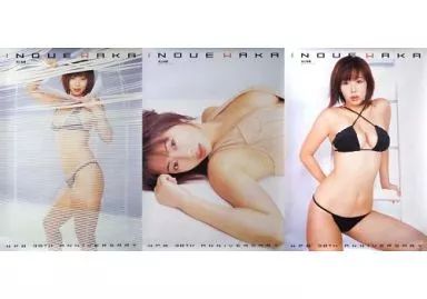 ポスター 女性 B1ポスター3枚セット 井上和香 週刊プレイボーイ 10週連続 創刊38周年記念企画 第2弾 5号連続企画 応募者全員サービス品