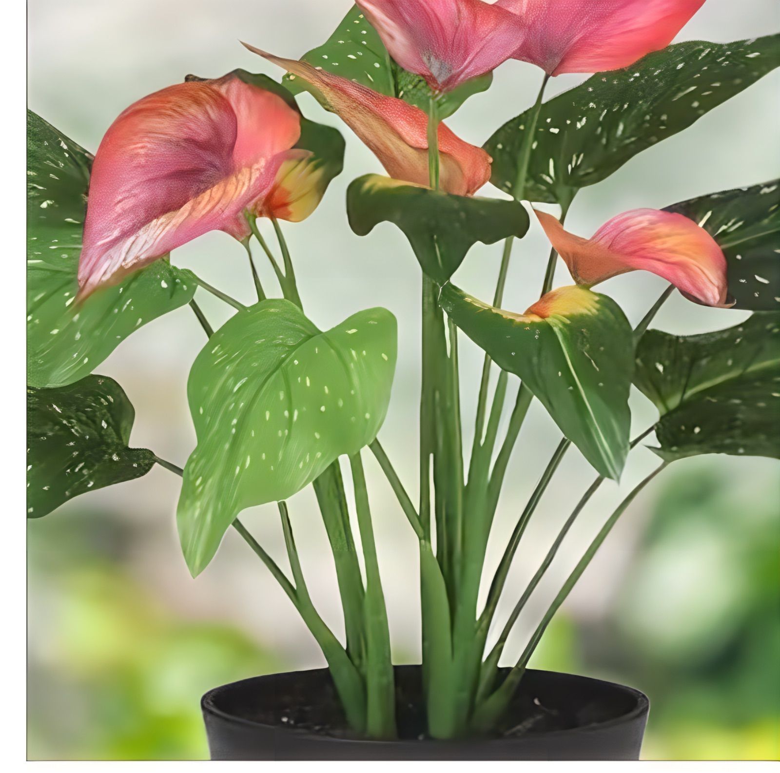 光触媒 人工観葉植物 ウォールグリーン フェイクグリーン 東北カラー55