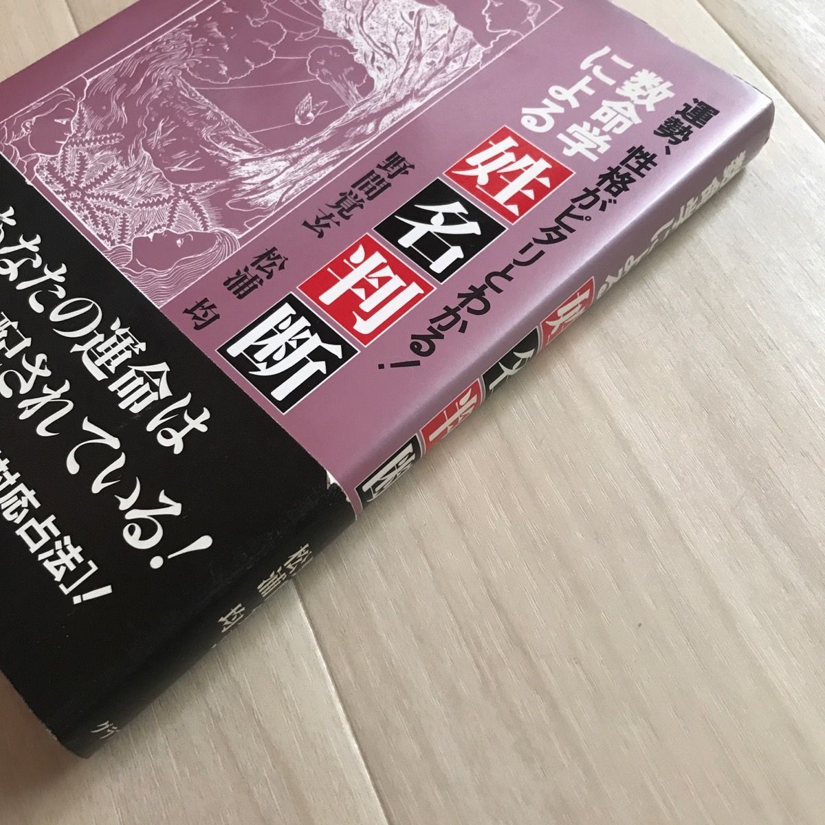 野間覚玄 松浦均『数命学による姓名判断 運勢、性格がピタリとわかる