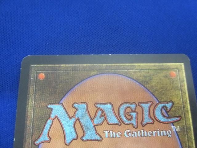 状態D トレカ MTG マジック:ザ・ギャザリング EXO-129 適者生存