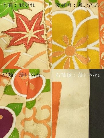 平和屋着物○豪華振袖 駒刺繍 総刺繍 舞蝶花文 金彩 正絹