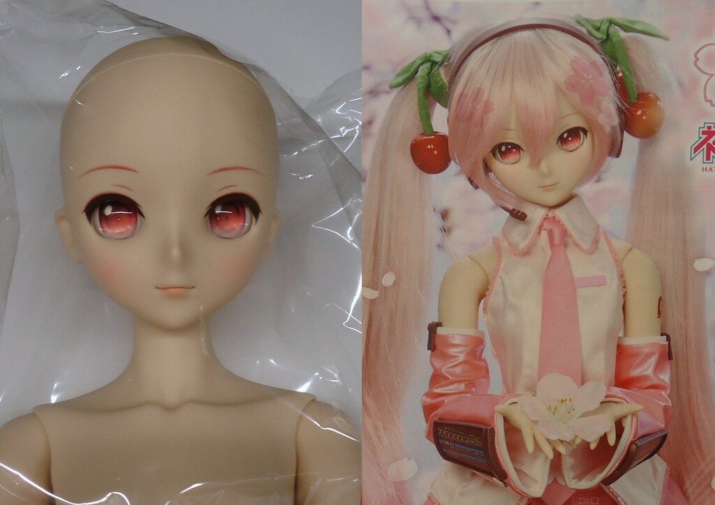 ボークス DD ボーカロイド 桜ミク 2.0