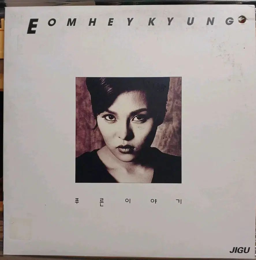 ウム ヘギョン LP 93 初年度 1 家 青い物語 NM