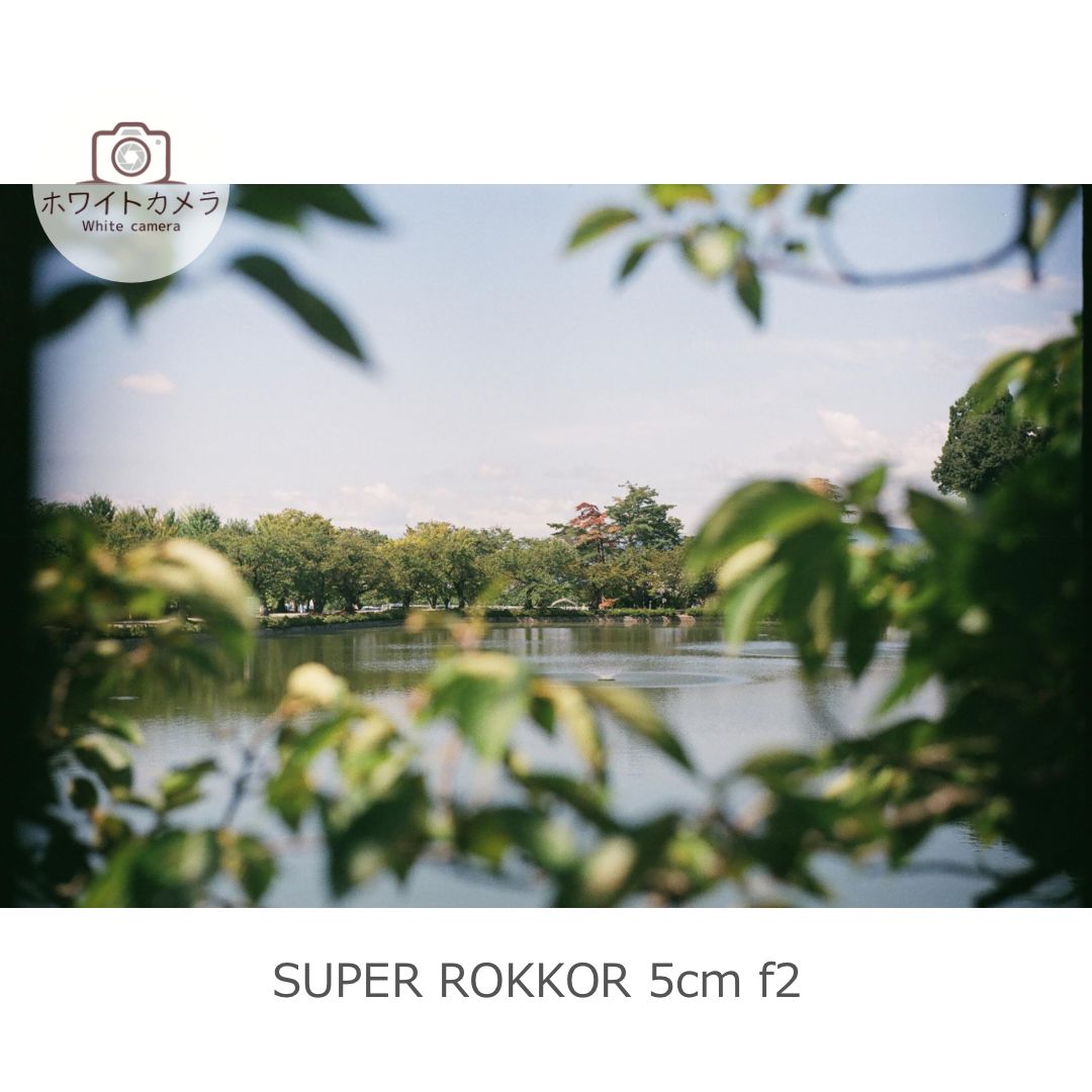  整備済み 撮影例付き minolta 35 MODEL Ⅱ SUPER ROKKOR 5 cm f 2 フィルムカメラ レンジファインダーカメラ フィルムカメラ