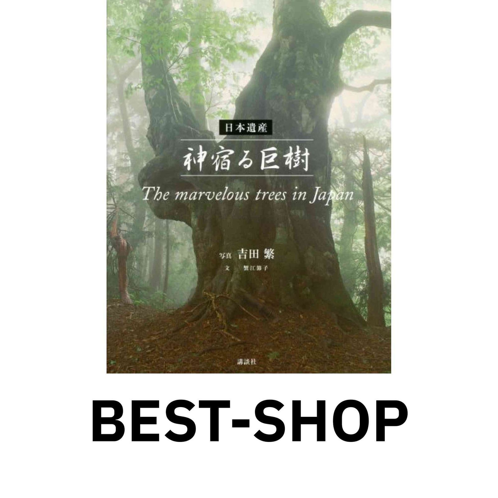 【中古】 桐Ver7．1一括処理入門 中古】 桐Ver7．1一括処理入門