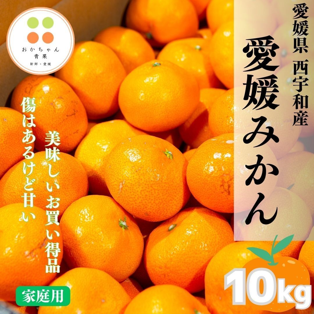 小玉南柑20号10Kｇ - 果物