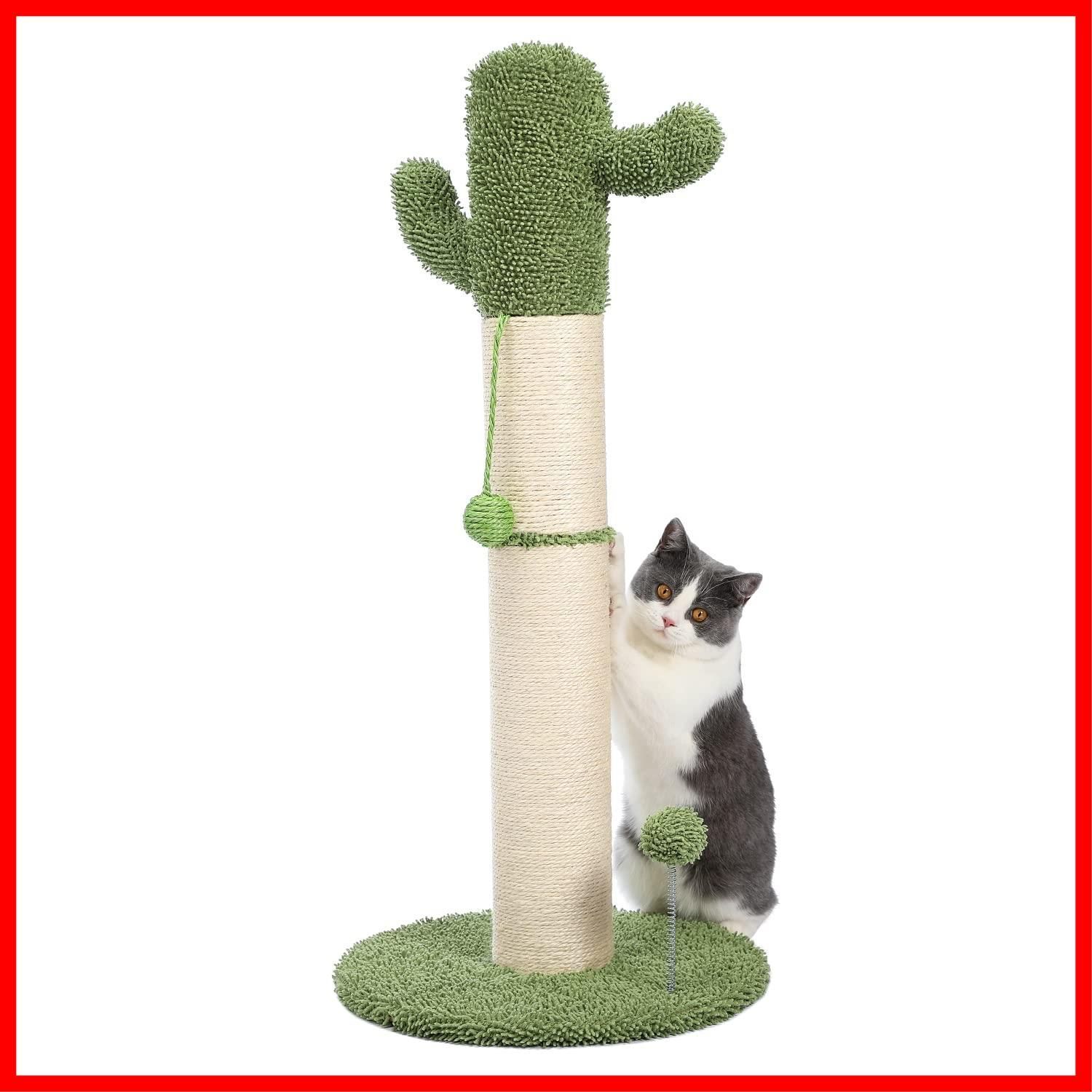 PAWZ Road 爪とぎポール サボテン 小型キャットタワー 猫タワー ねこの