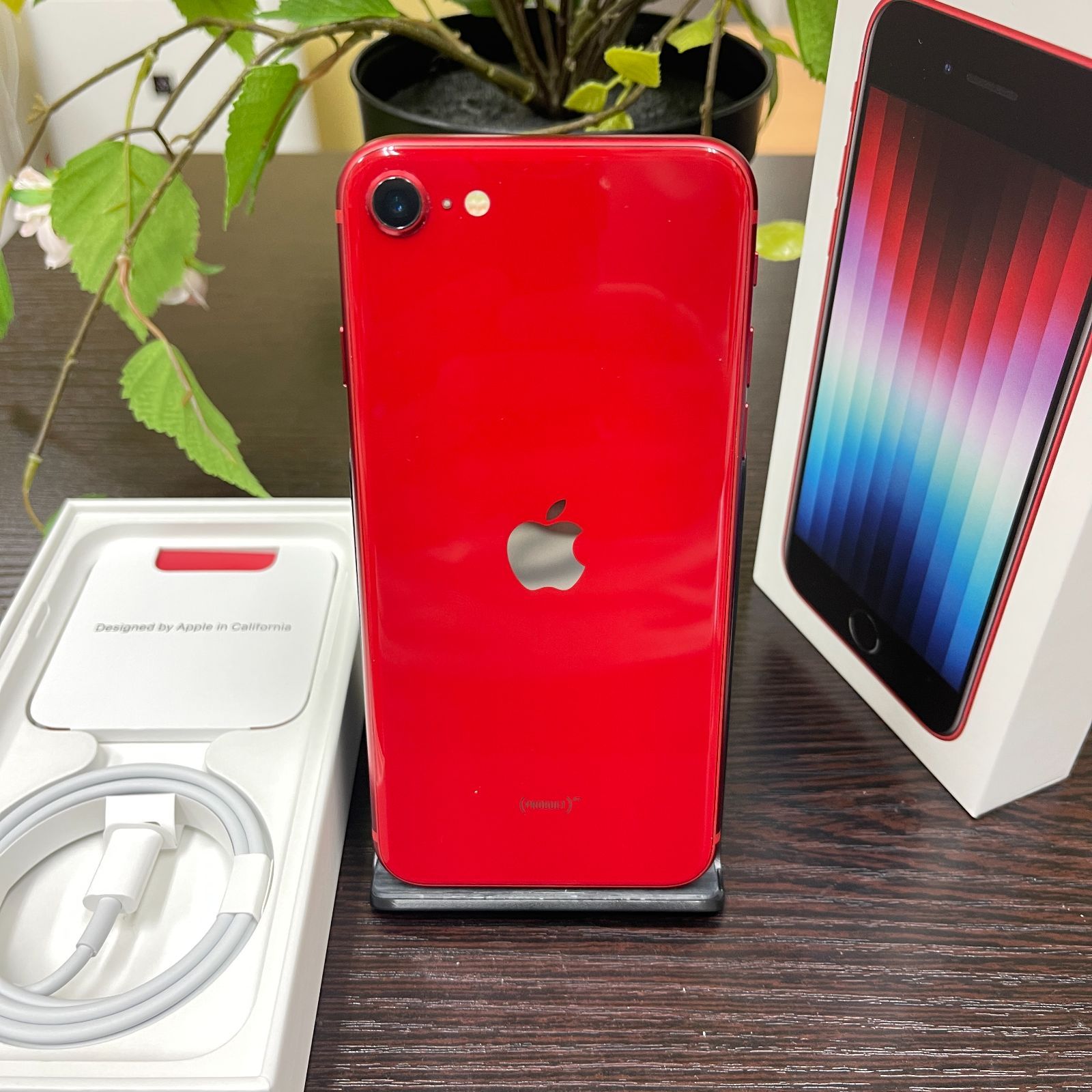 iPhone SE(第3世代) 64GB レッド 国内SIMフリー 送料無料 64GB iPhone