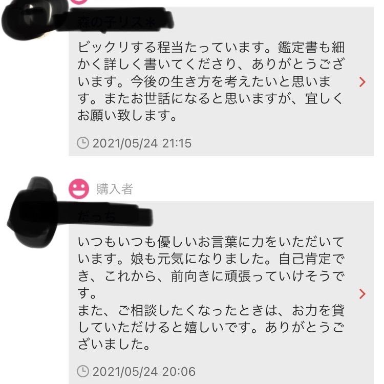 現役占い師 霊視 占い 鑑定書 24時間以内返信 - メルカリ