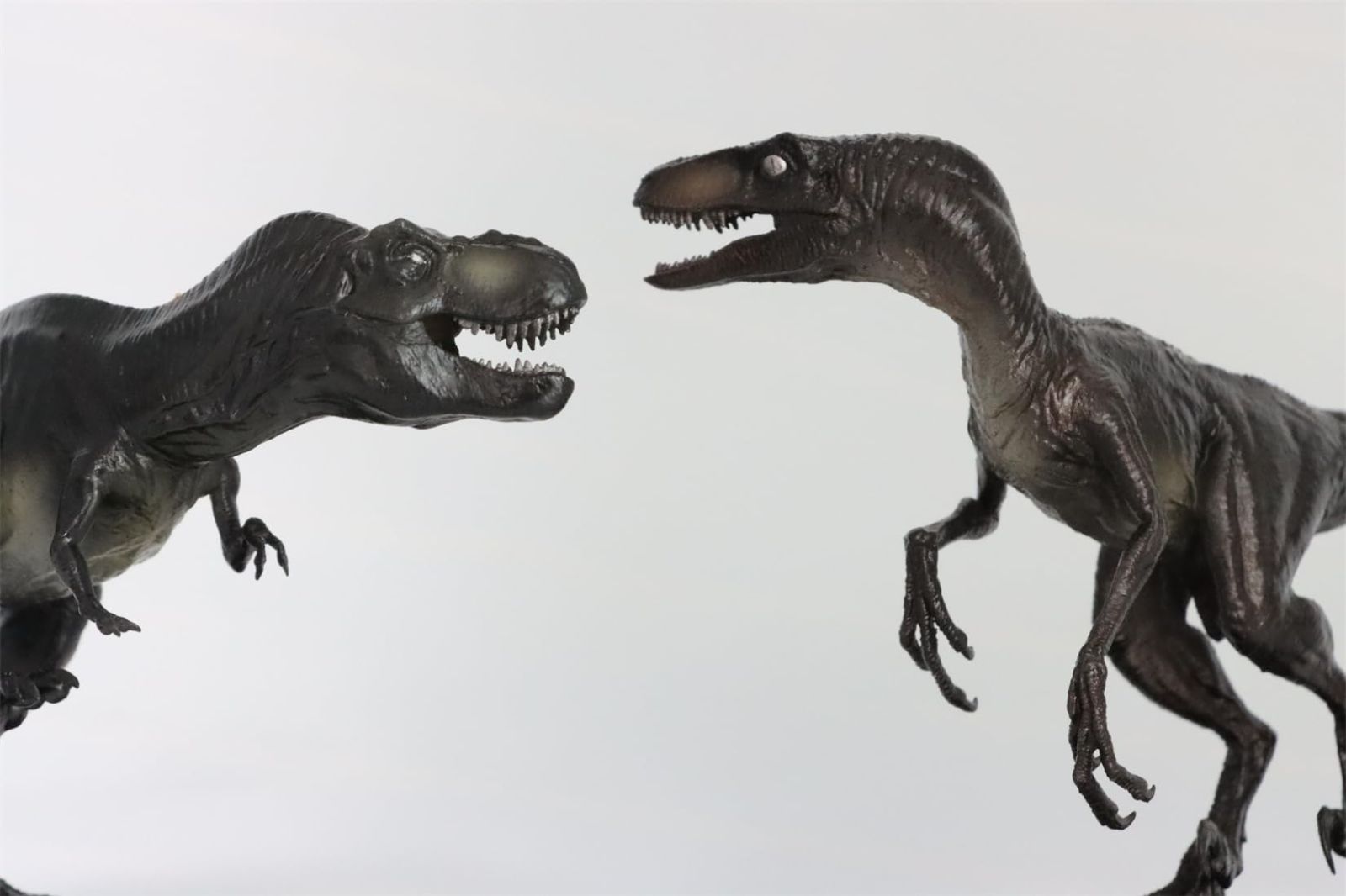 DINO DREAM ティラノサウルス Tレックス T-REX ヴェロキラプトル