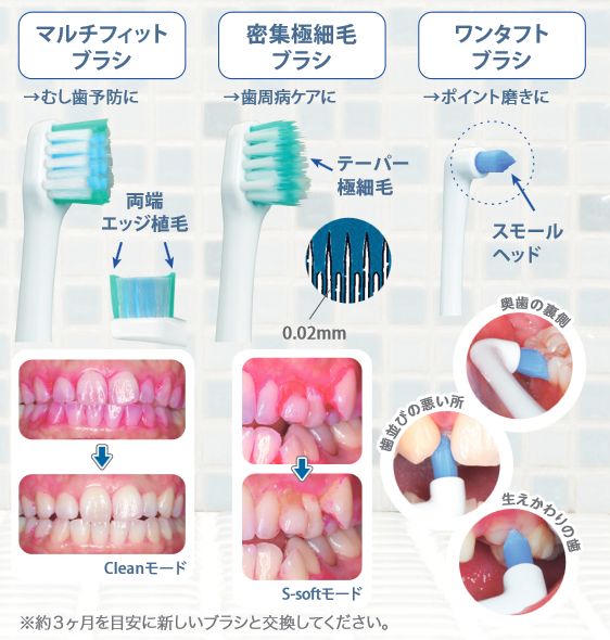 GC ジーシー プリニア 替えブラシ テーパーカーブフロート