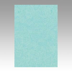 まとめ 色画用紙 文運堂 ニュー Ｒ 薄茶色 8NCR-110 4954022681104 1冊 ×10セット