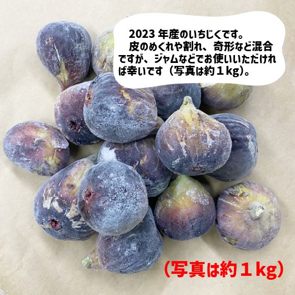 2025年産