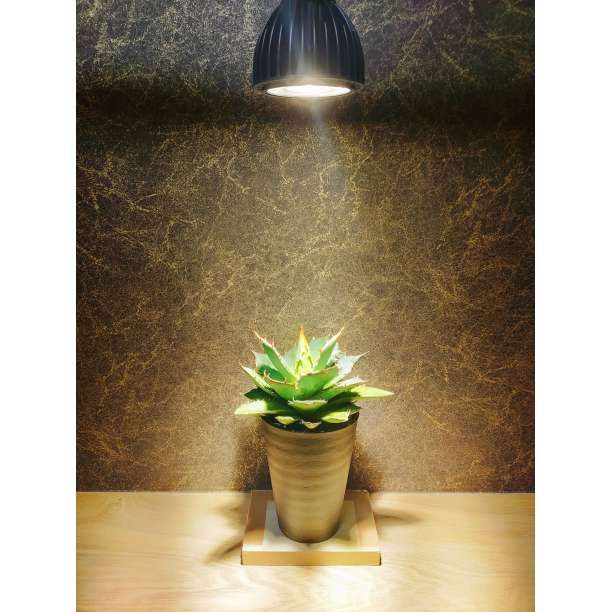 植物育成ライト 15W 6500K 5個 黒色 太陽光 フルスペクトルLED 植物