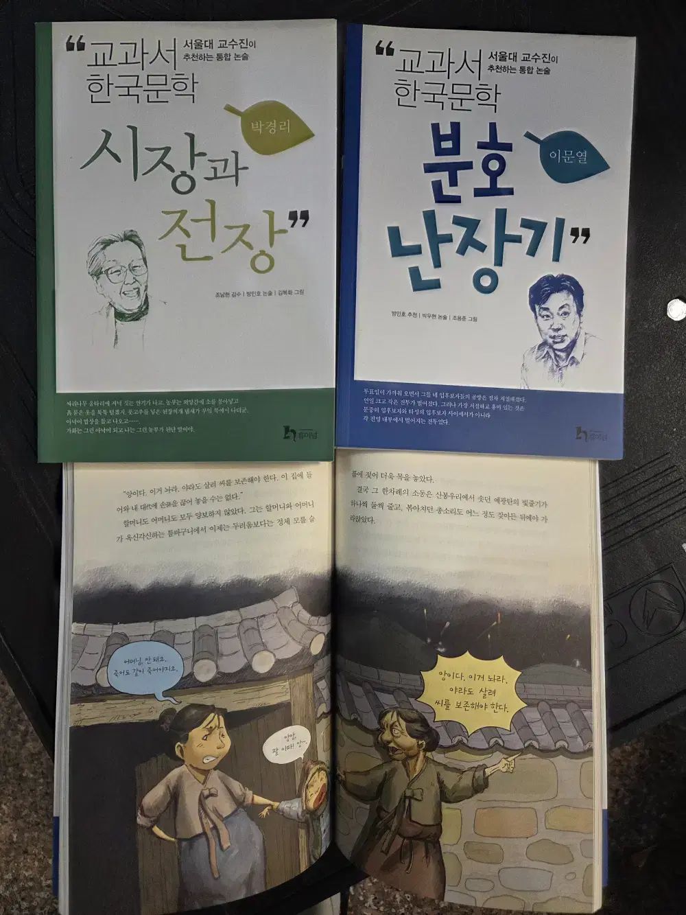 教科書 韓国文学 シリーズ 1 ー 80 巻 セット ホイナム 初等文学 初級エッセイ 小学生用本