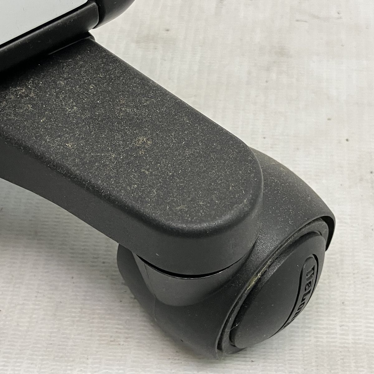 C10069516