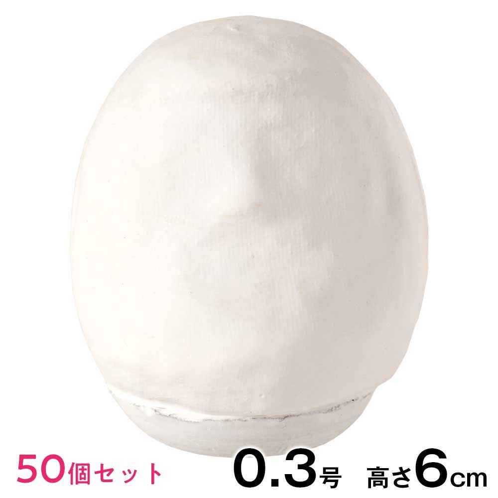50個セット 高崎だるま おえかき白だるま 0.3号 高さ6cm 立体ぬり絵 工作用 ワークショップ 手作り体験 親子で楽しめる自由研究 群馬県指定ふるさと伝統工芸品