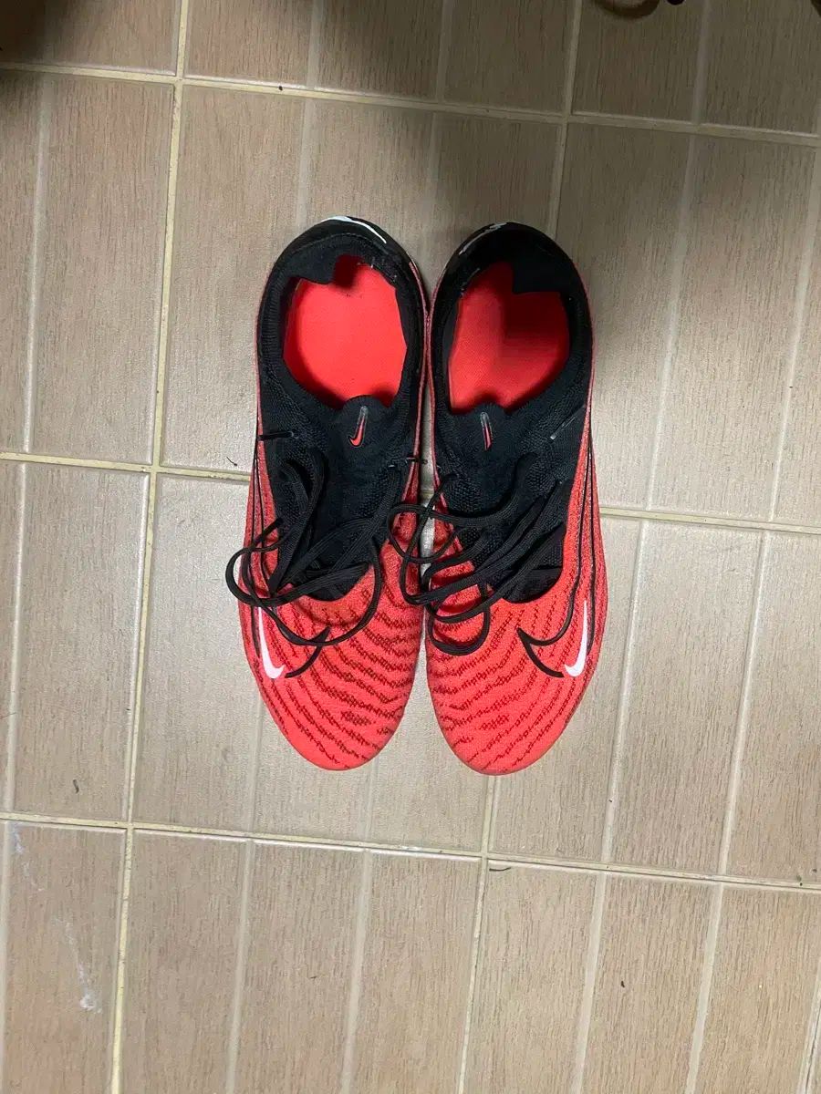 ちぎり絵】幻の花「月下美人」(P 10サイズ) 暮らしに彩りを ちぎり絵