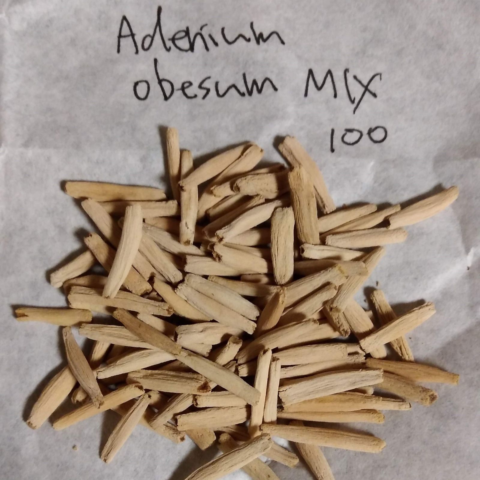 アデニウム・オベスムMIX 種子100粒 Adenium obesum