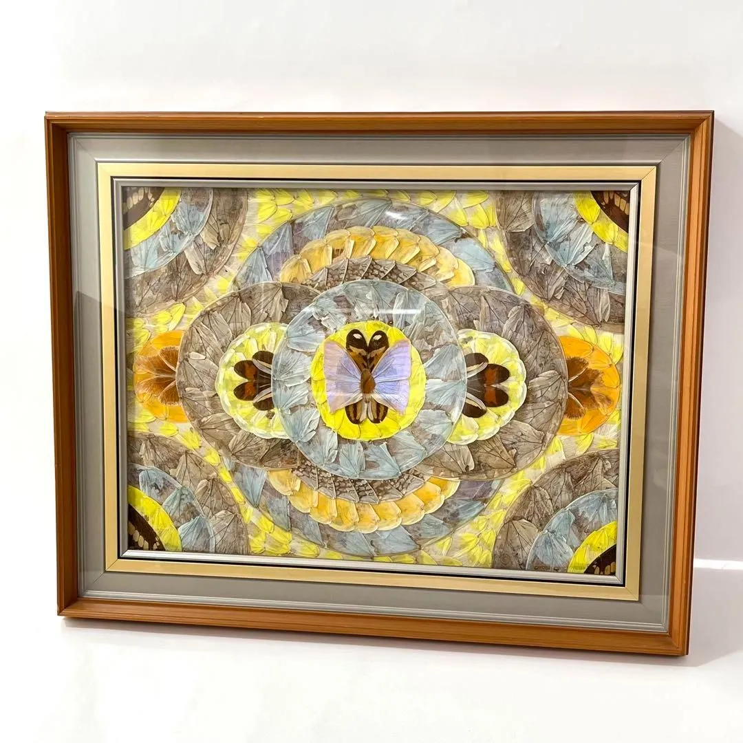 2025年最新】モルフォ蝶 額の人気アイテム - メルカリ