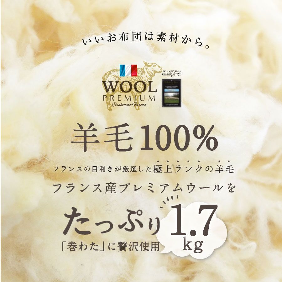 固綿入